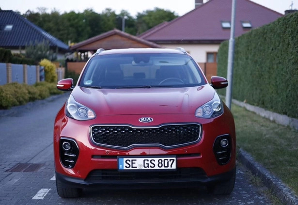 Kia Sportage cena 72900 przebieg: 65044, rok produkcji 2017 z Goleniów małe 254